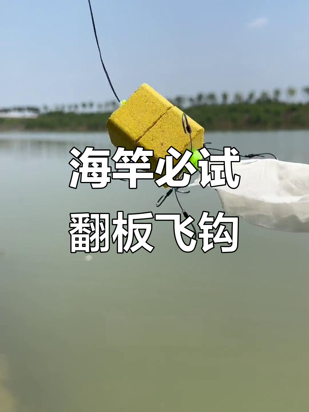 海竿长江钓鱼技巧(海钓钓鱼技巧口诀)