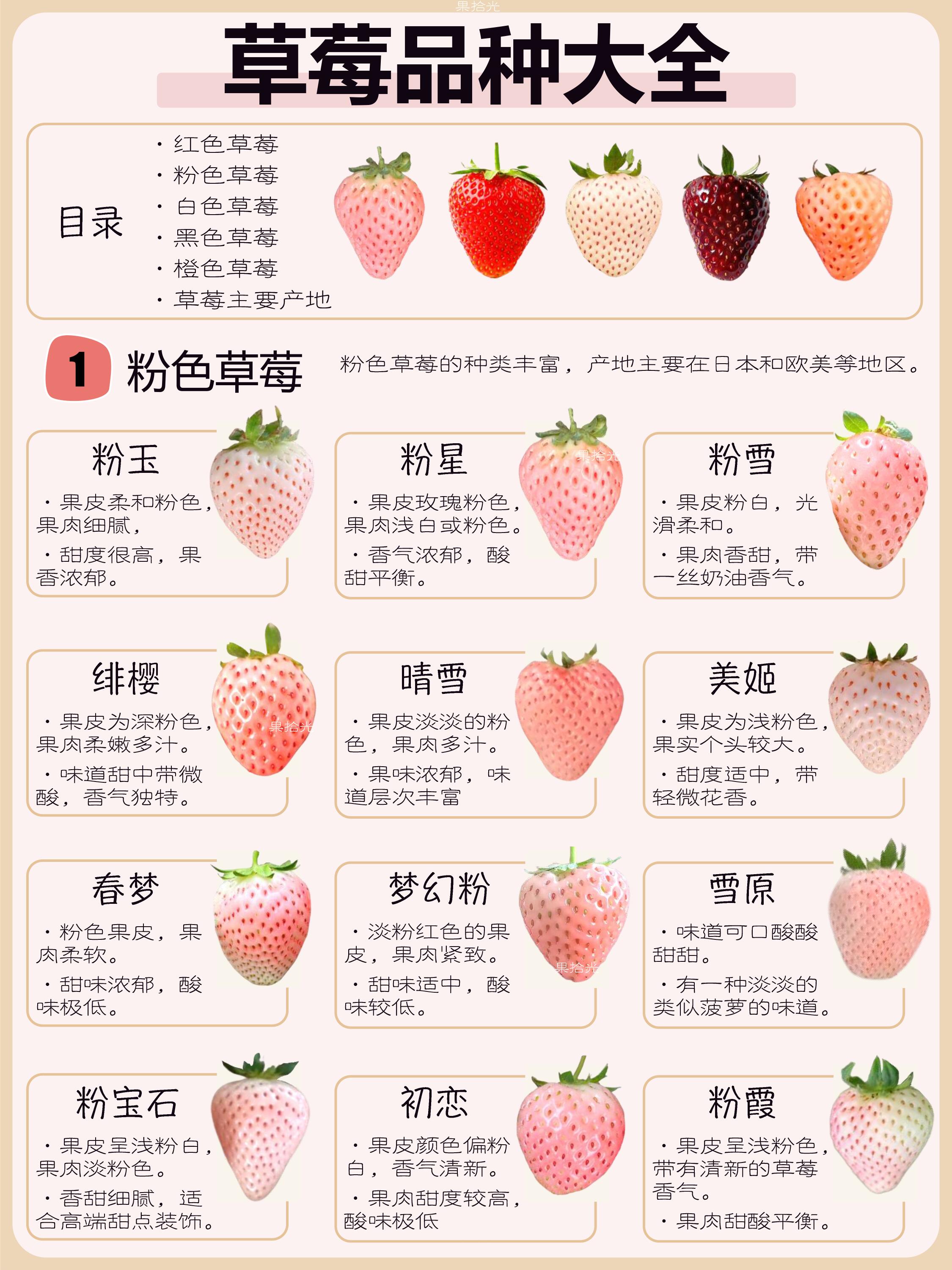 草莓香饵料特点(草莓香钓鲫鱼)