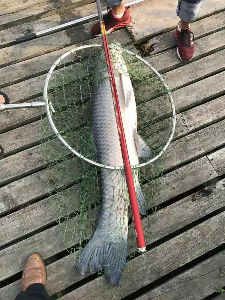 威海渔具节(2020威海渔具展预告)