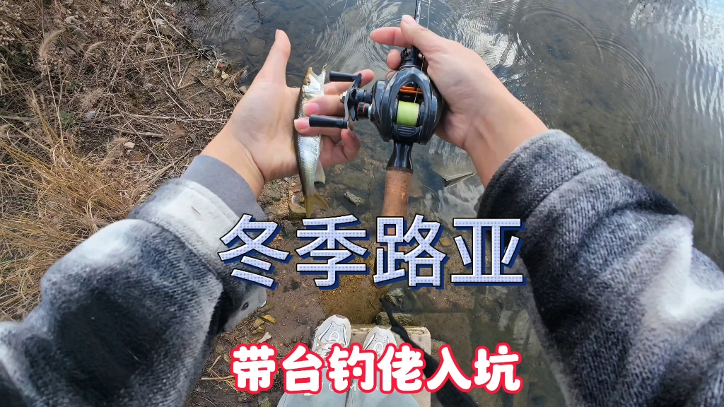 冬季用路亚(冬季路亚鱼种)