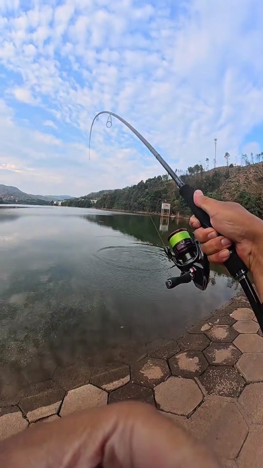 冬季用路亚(冬季路亚鱼种)