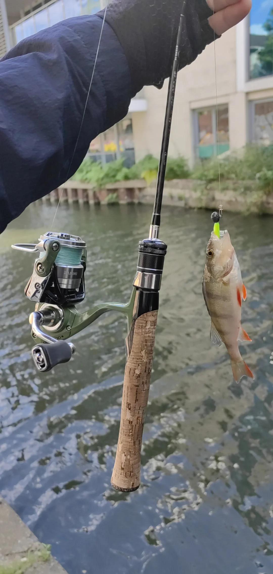 广元路亚标点(城固路亚标点)