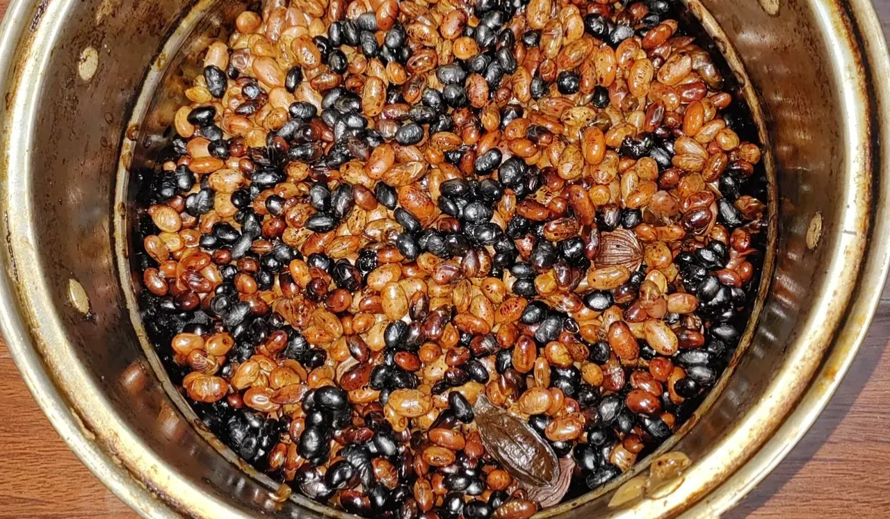 黄豆秘制饵料(黄豆饵料制作方法)