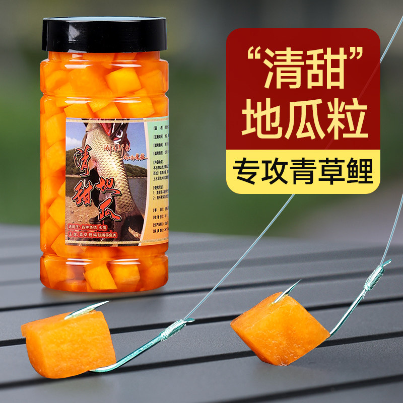 地瓜饵料(地瓜做鱼饵钓什么鱼)