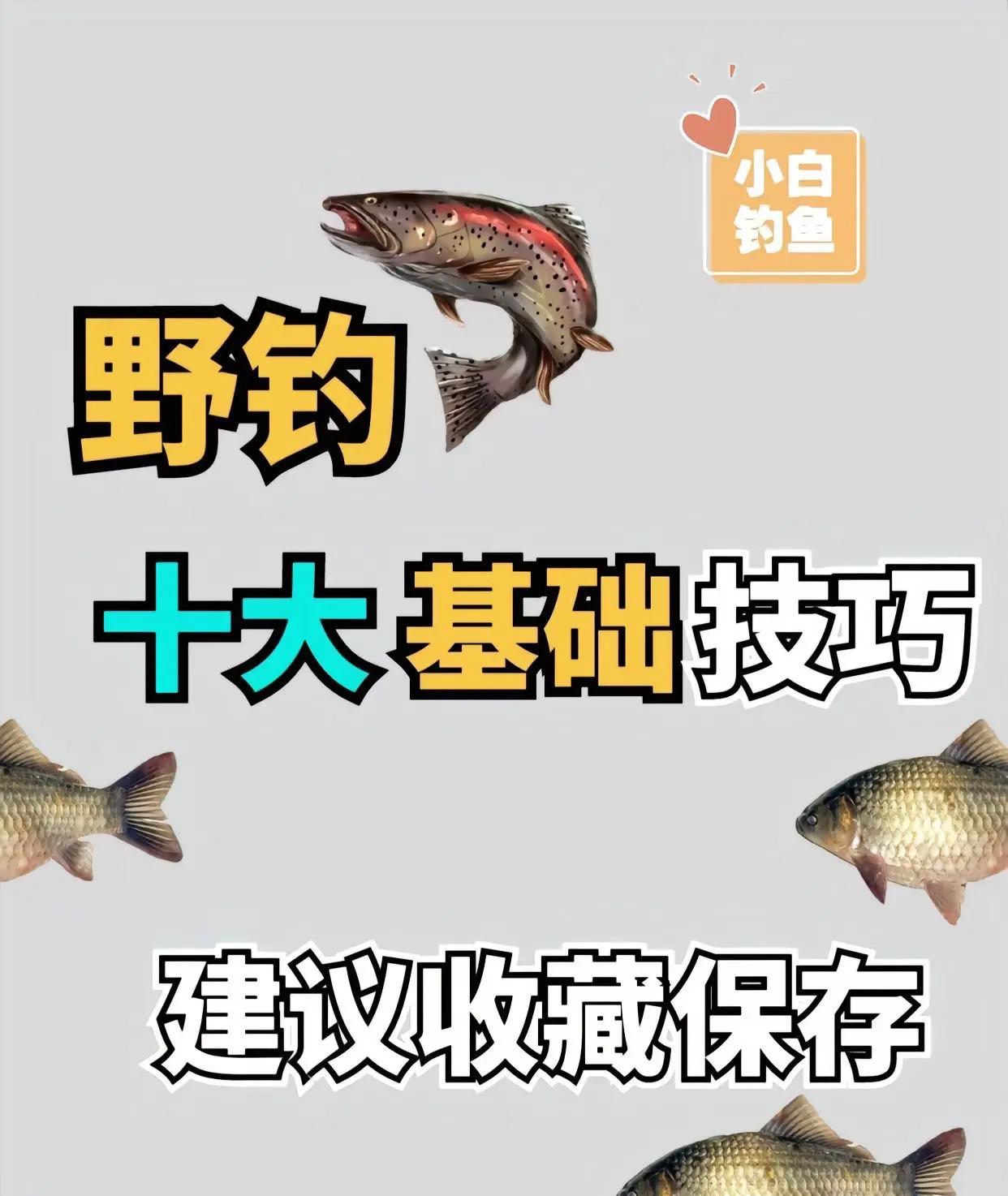 钓鱼新手入门技巧(钓鱼新手入门技巧视频)