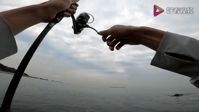 海黑头如何路亚(路亚黑头用什么软饵)