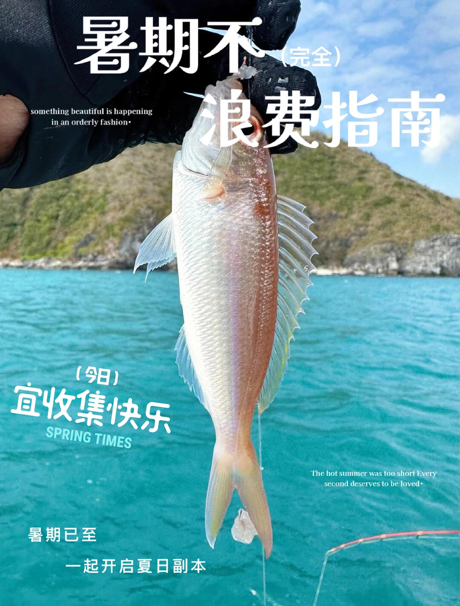 三亚租船海钓多少钱(三亚租渔船)