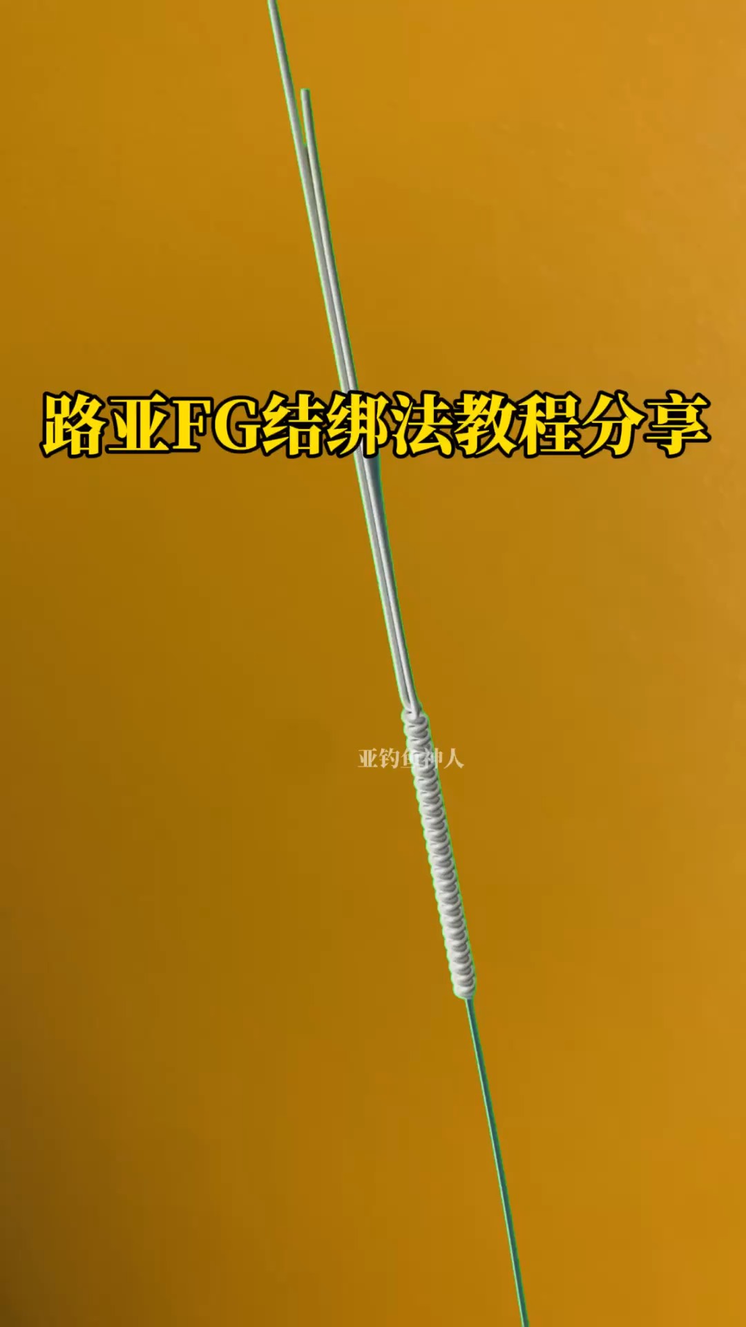 路亚电车结(电车结怎么打)