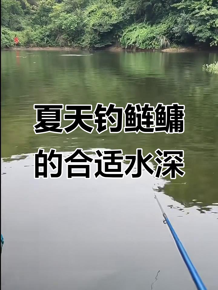 钓鲢鳙技巧夏季深度(夏季钓鲢鳙最佳温度)