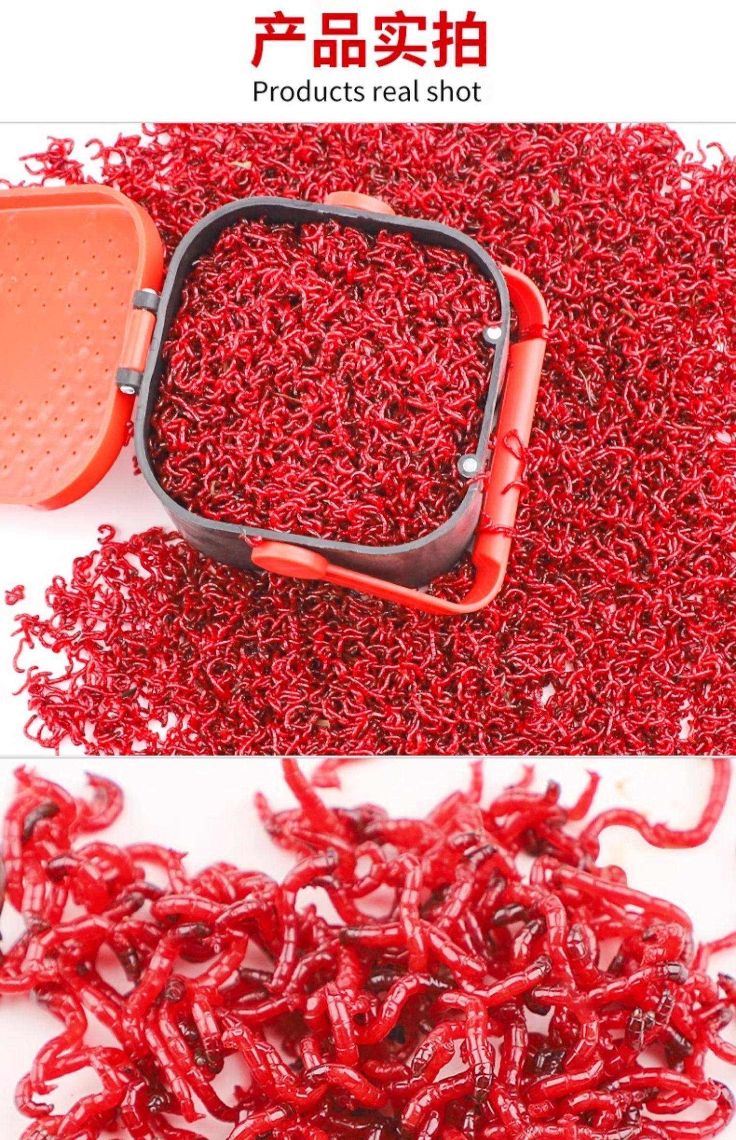 红虫蚯蚓牌饵料(红虫蚯蚓窝料效果好吗)