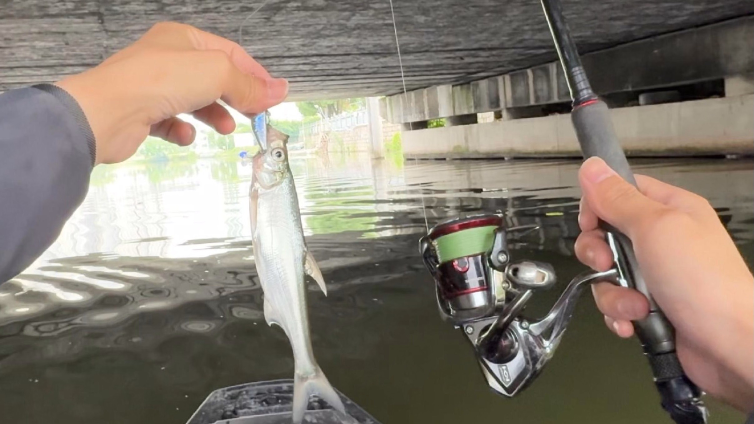 路亚交流群(路亚钓鱼群)