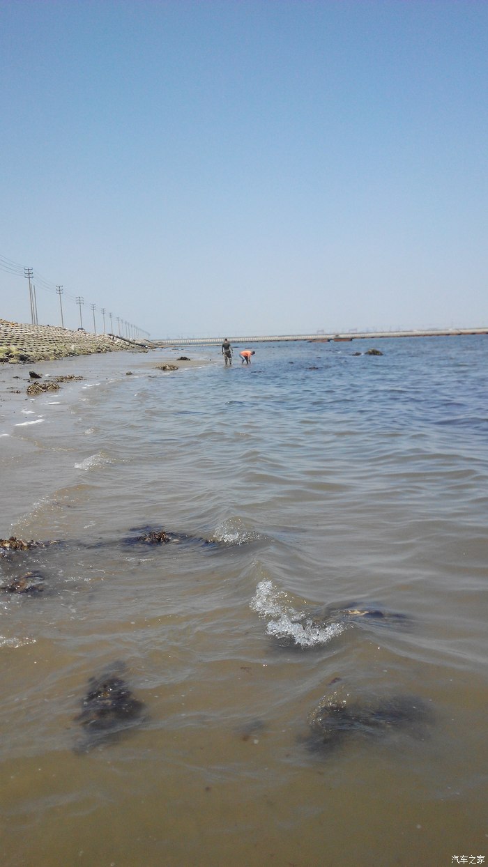 临港海钓几点合适(临港海钓几点合适钓鱼)