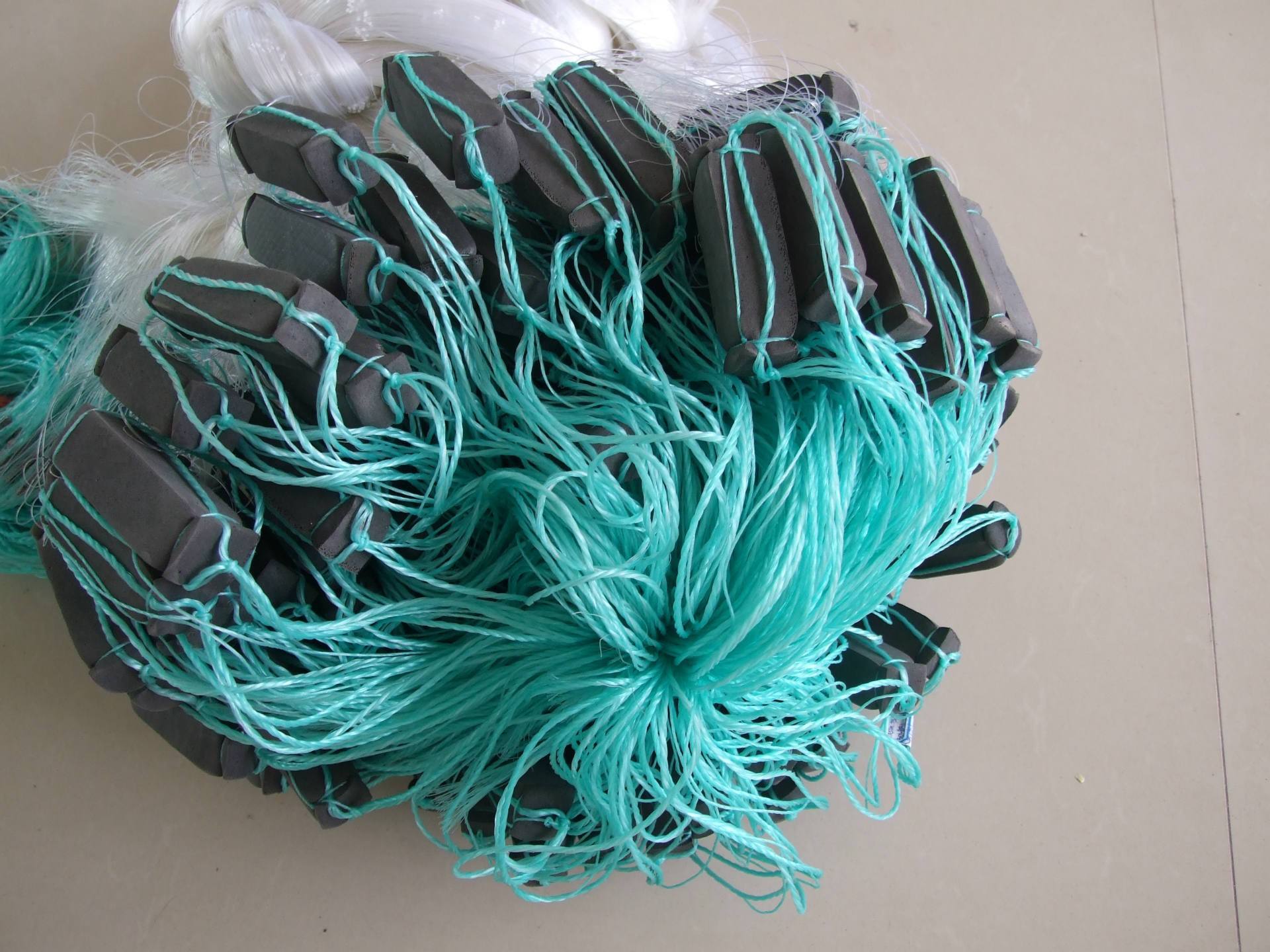 东海钓鱼网(东海哪里有好的钓鱼地方)