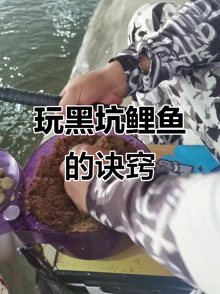 冬季黑坑鲤鱼技巧视频(冬季黑坑鲤鱼技巧视频大全) 冬季黑坑鲤鱼技巧视频(冬季黑坑鲤鱼技巧视频大全)