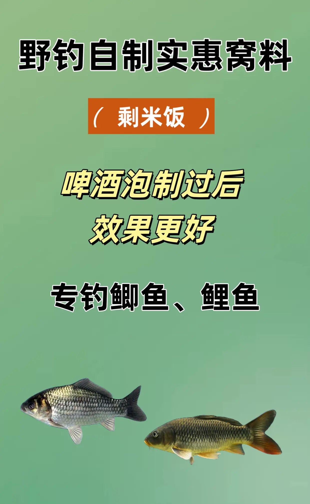 海钓窝料教学(海钓 窝料)