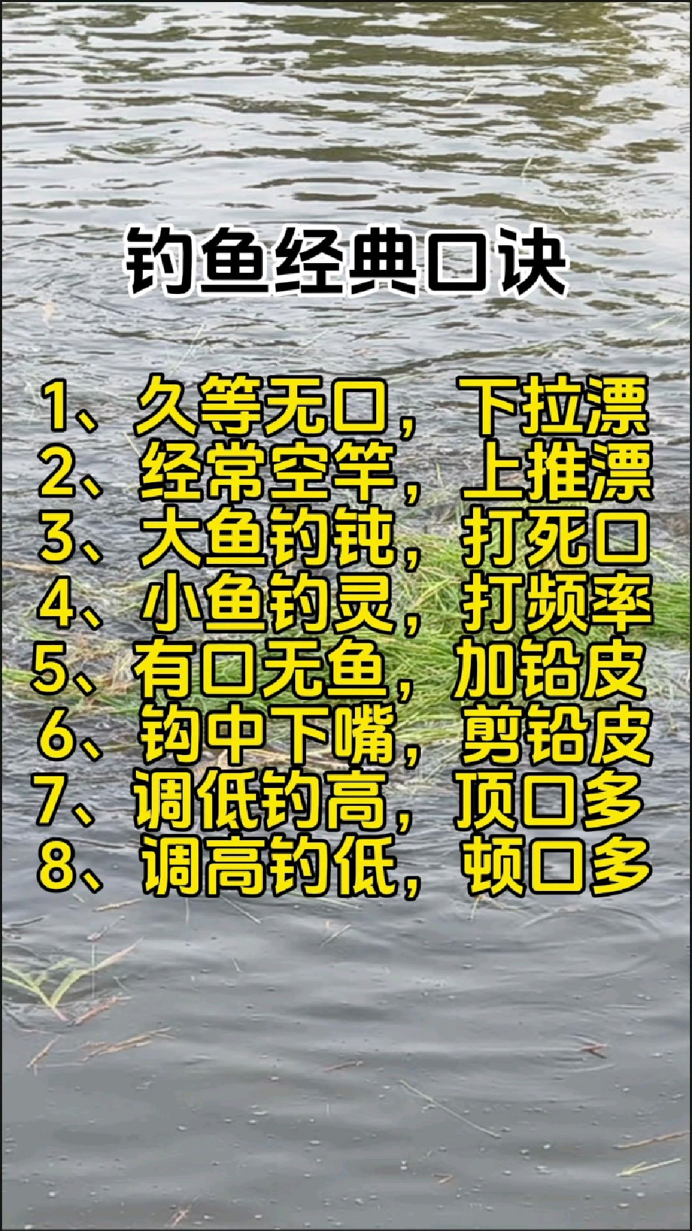 12月份南方钓鱼技巧(12月份钓什么鱼最适合)