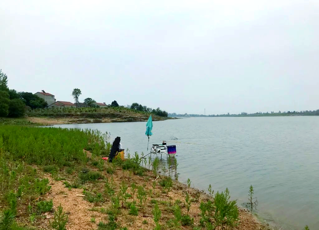 秋天十月阴天钓鱼技巧(秋天十月份钓鱼深水好还是浅水好)