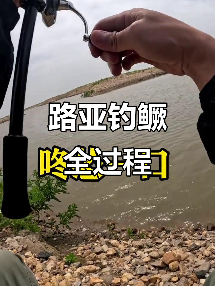 实战路亚鳜鱼之技巧(路亚鳜鱼教学)