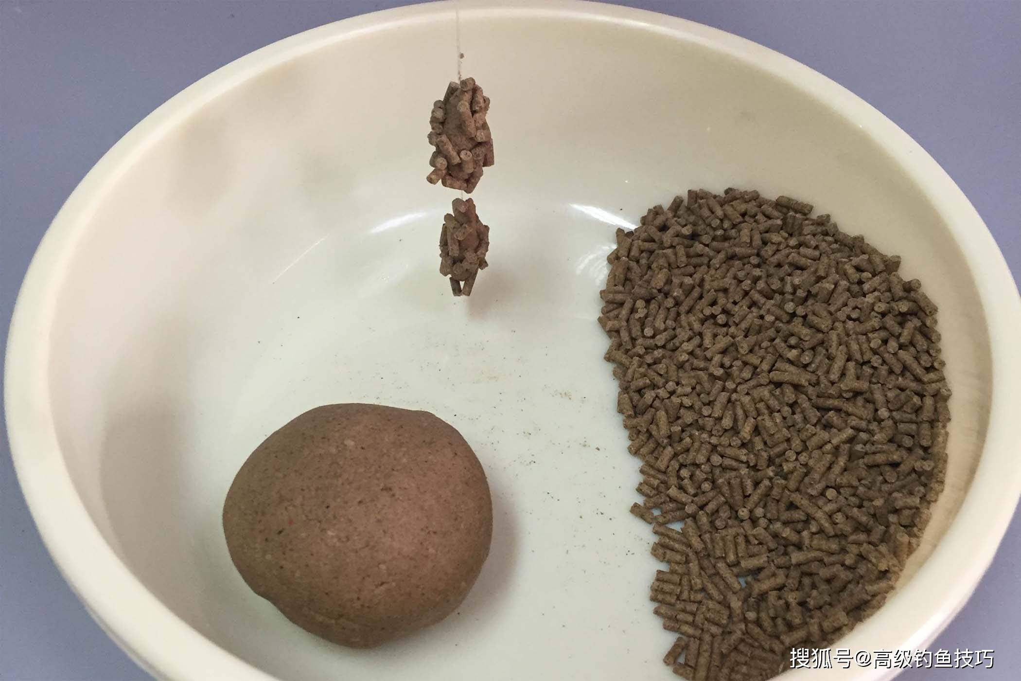 黑鲩用什么饵料(黑脘吃什么饵料)