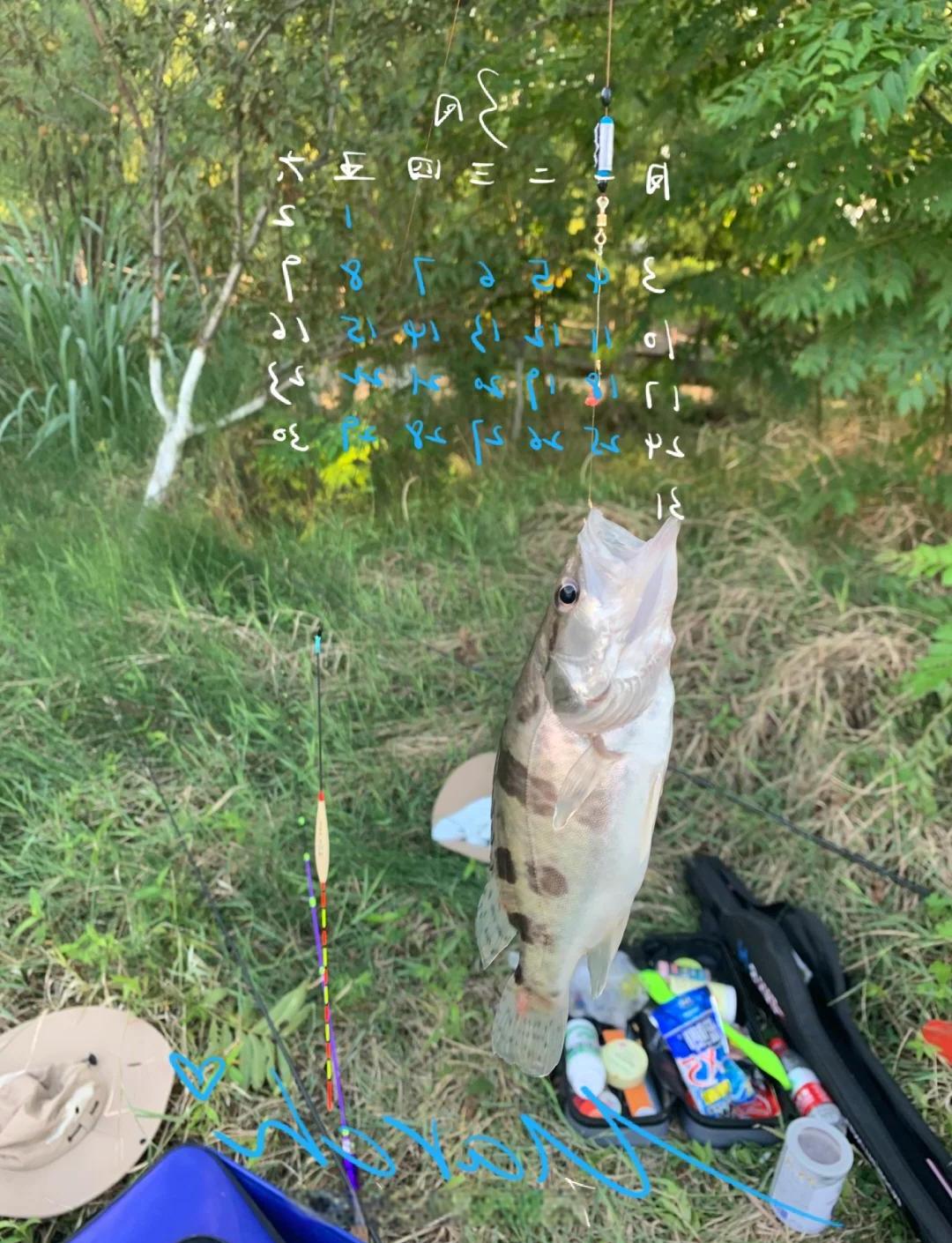 何为台钓技巧(台钓手法)