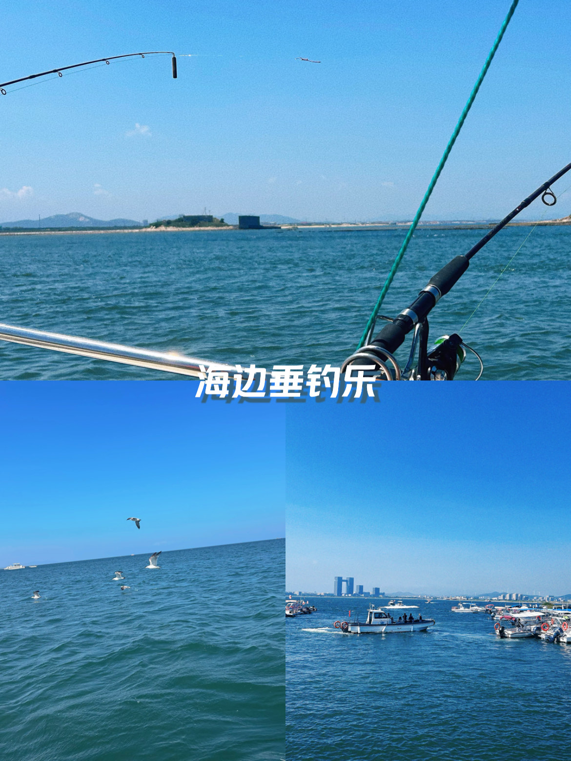 万宁大洲岛海钓(万宁大洲岛海鲜排档怎么样)