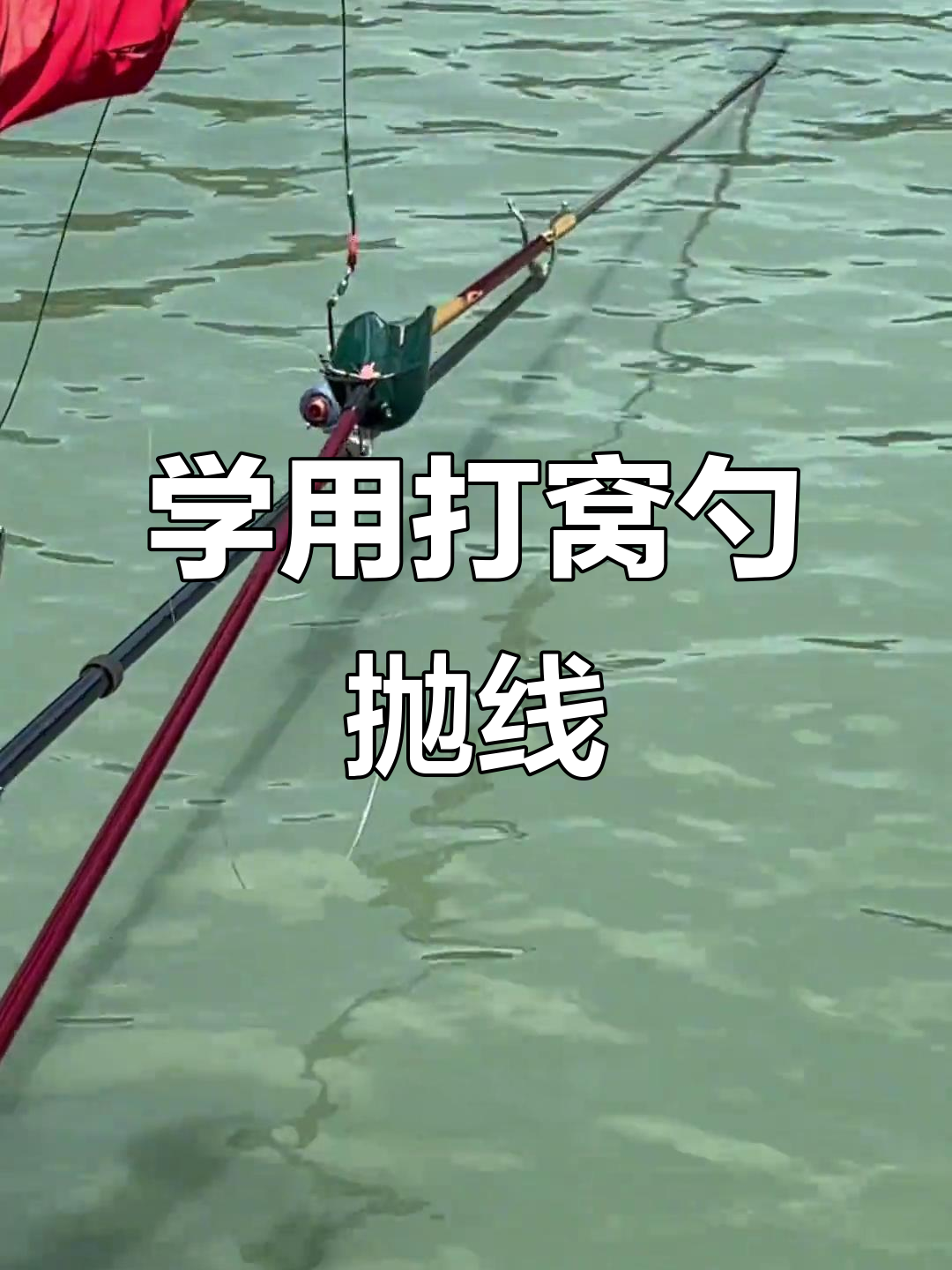 钓青尾鲴抓口技巧(分享钓青尾鲴的秘密)