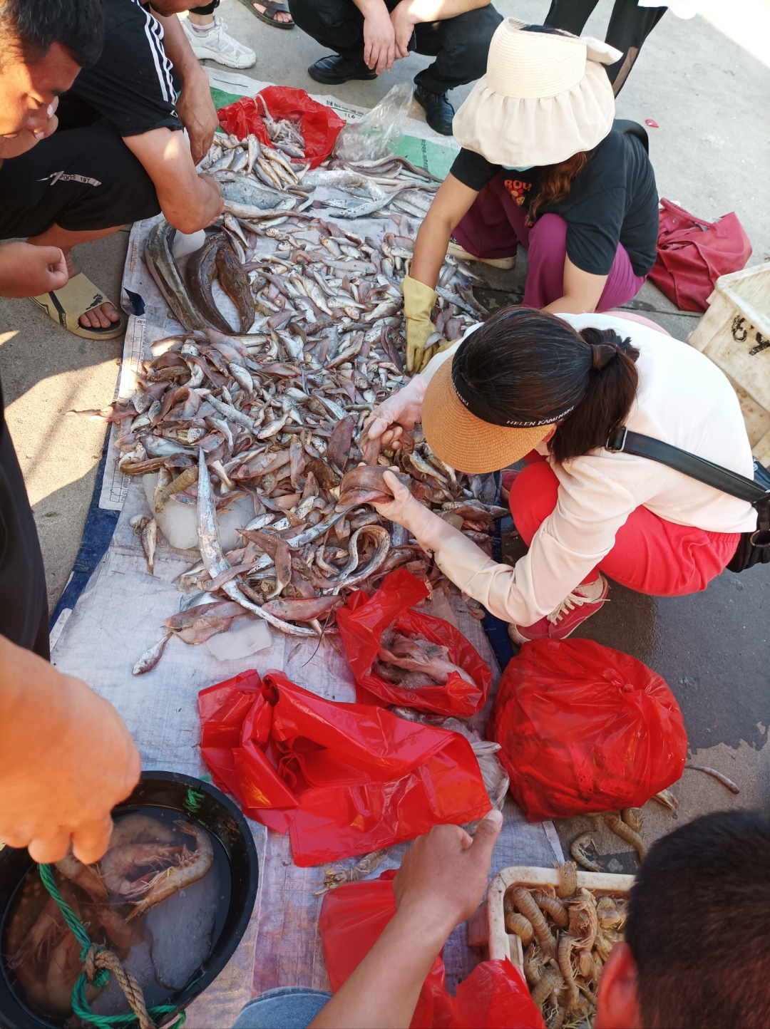 在哈尔滨卖渔具(在哈尔滨卖渔具赚钱吗)