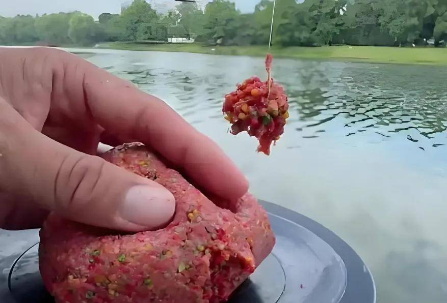 硬粘饵料状态(饵料又硬又粘鱼吃吗)