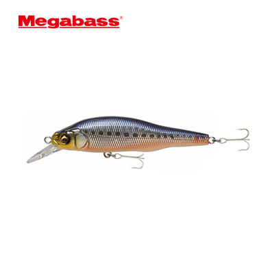 西安渔具(西安渔具展2025年什么时间)