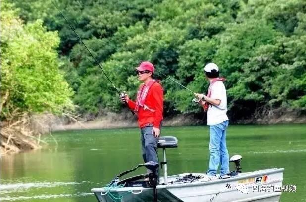 四海钓鱼视频下载(四海钓鱼高清)