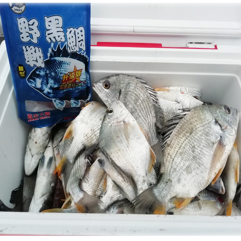 钓泥猛的技巧(怎样钓泥猛)