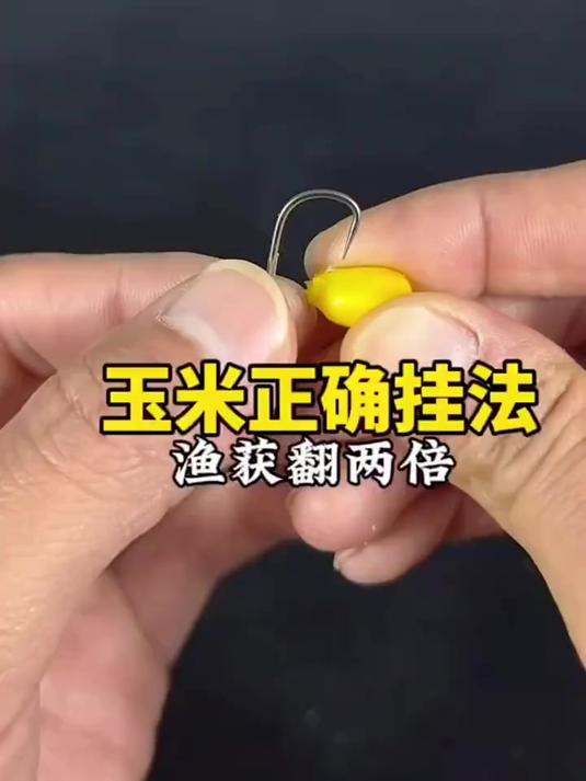 使用玉米钓鱼技巧(用玉米钓鱼的技巧)