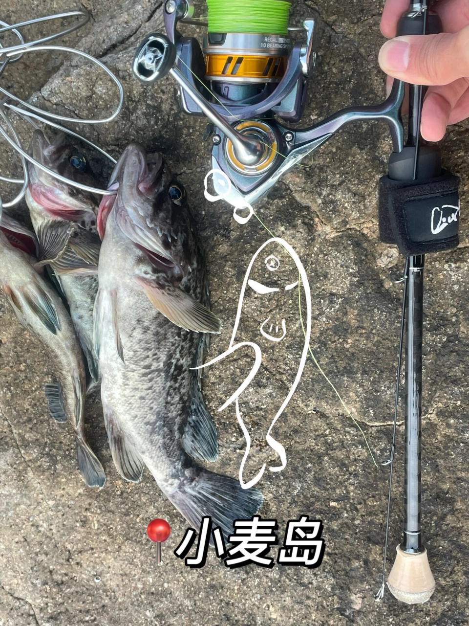 青岛麦岛路亚(青岛麦岛中学升学率)