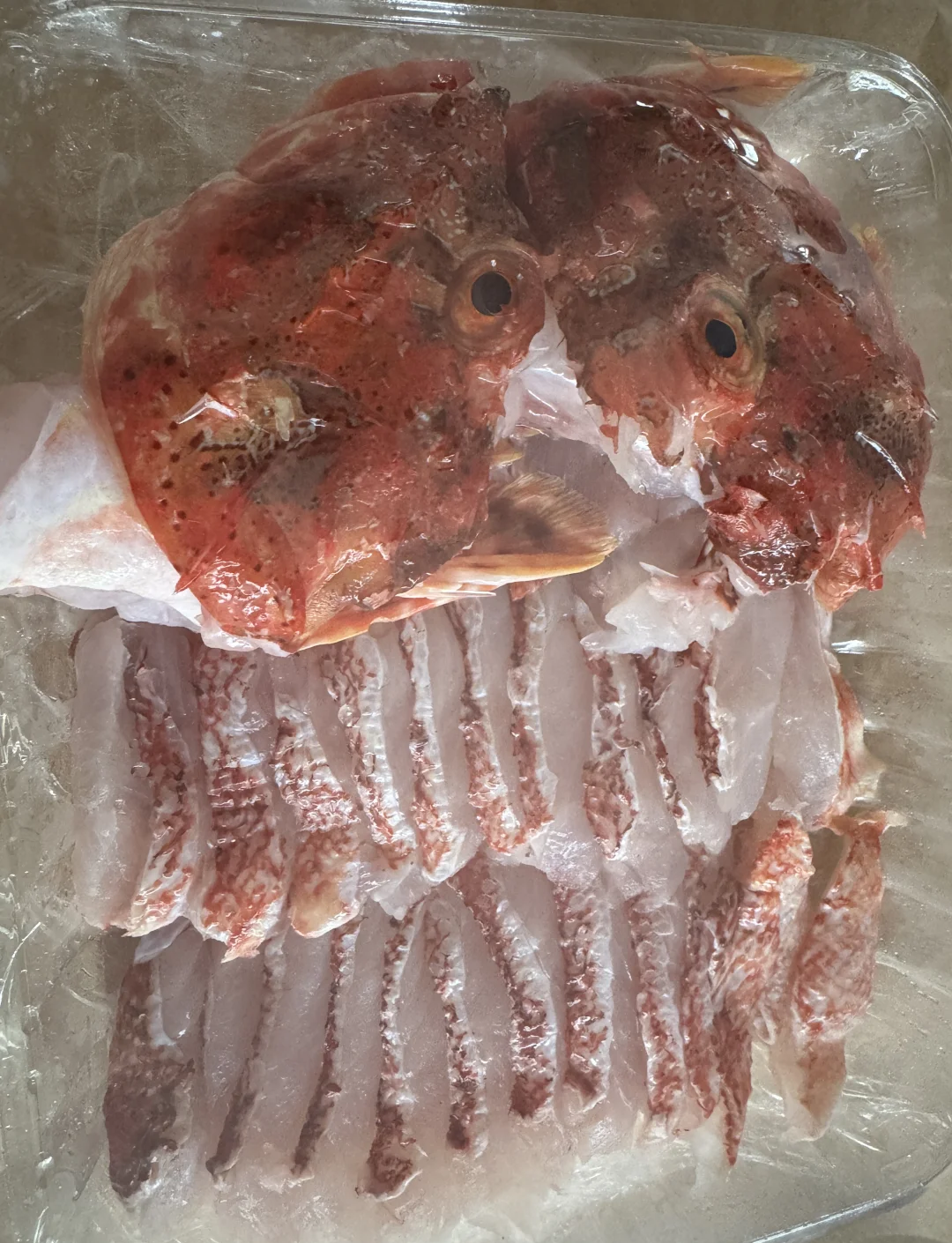 海钓石公鱼(海钓石狗公)