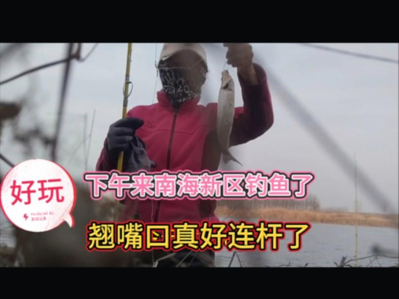 出发南海钓鱼(南海出海钓鱼)