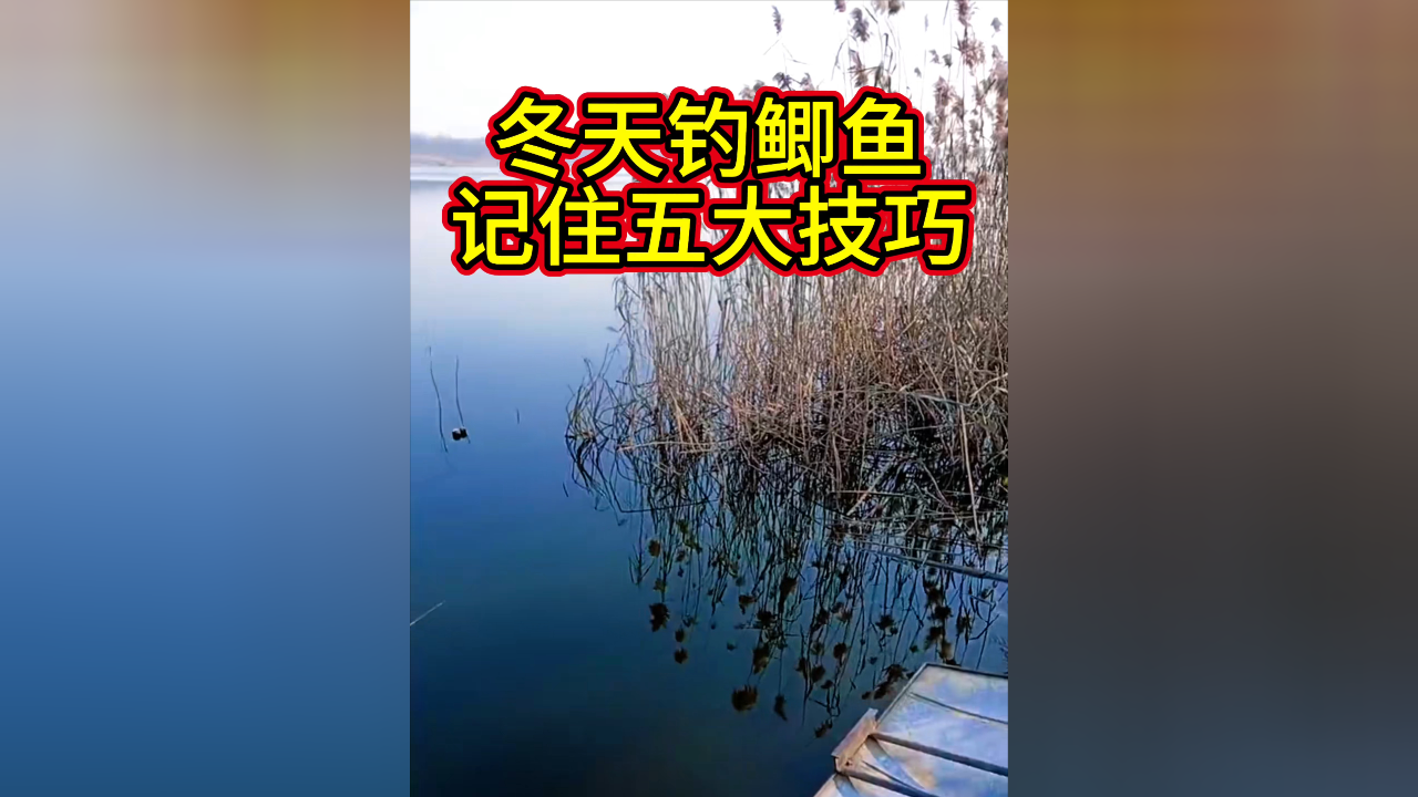 冬天抬钓论坛技巧(冬天垂钓技巧)