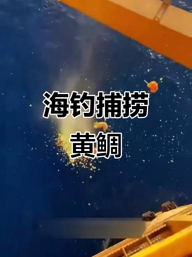 海钓黄鲷怎么钓(海钓黄鲷鱼用什么鱼饵)