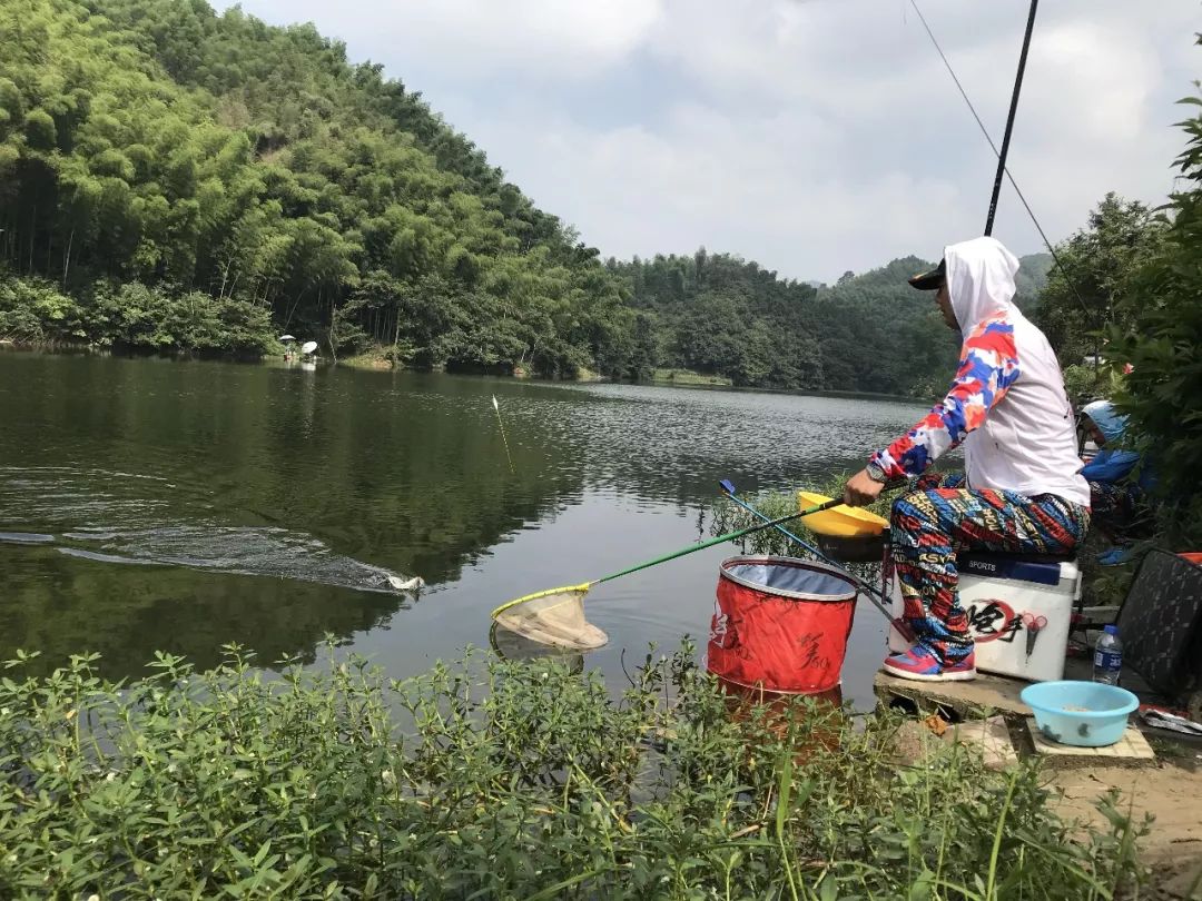 参加四海钓鱼(参加四海钓鱼的感受)