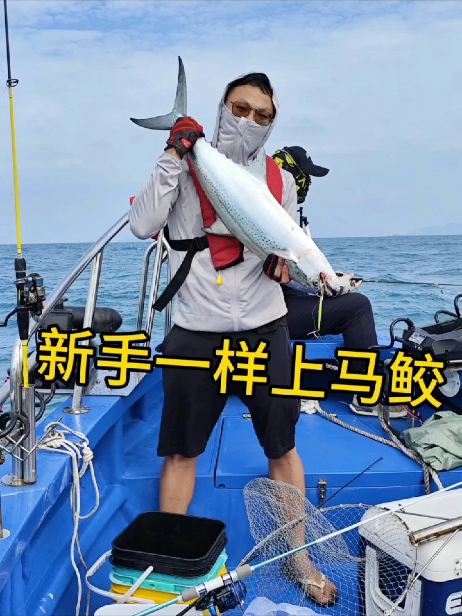 海钓马胶鱼视频(钓马鲛鱼视频)