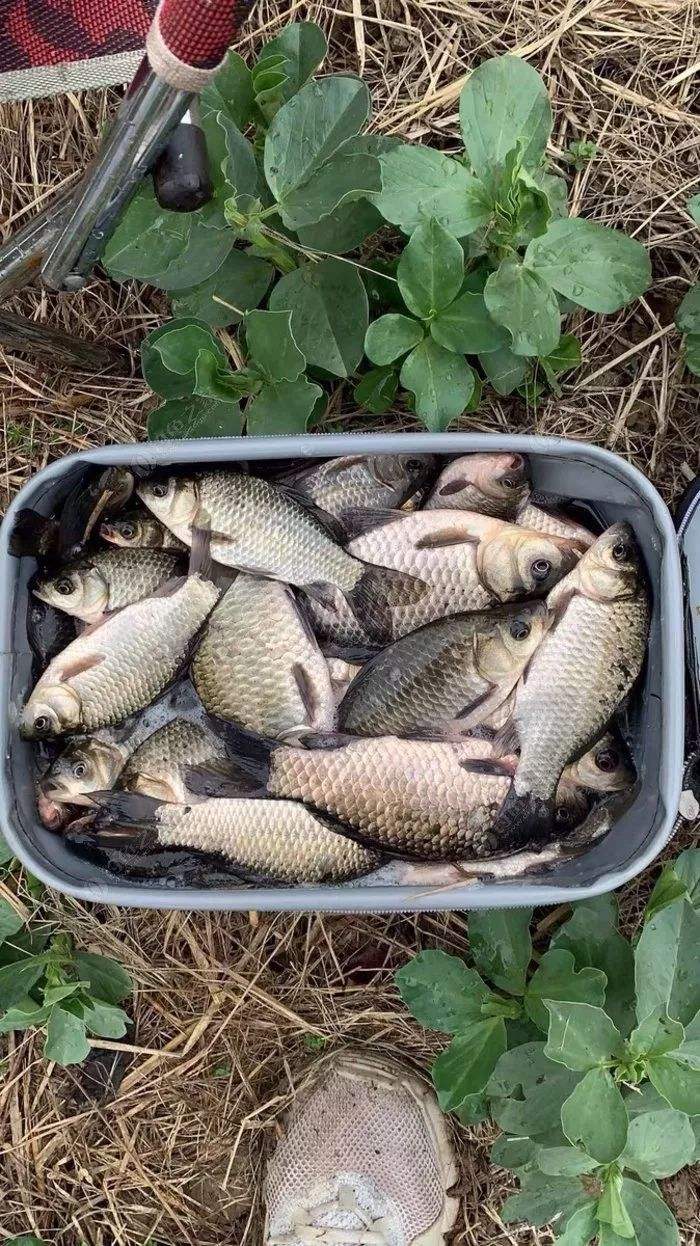 早春岸筏技巧(早春鱼上浮怎么钓)