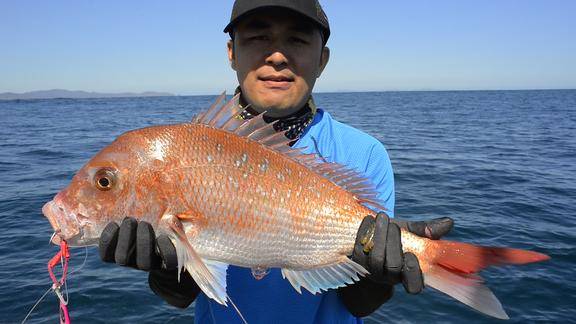 海钓真鲷鱼(海钓真鲷鱼钓组绑法)