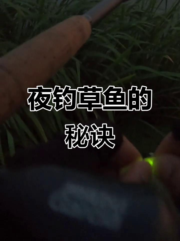 路亚草鱼技巧(如何路亚草鱼视频)