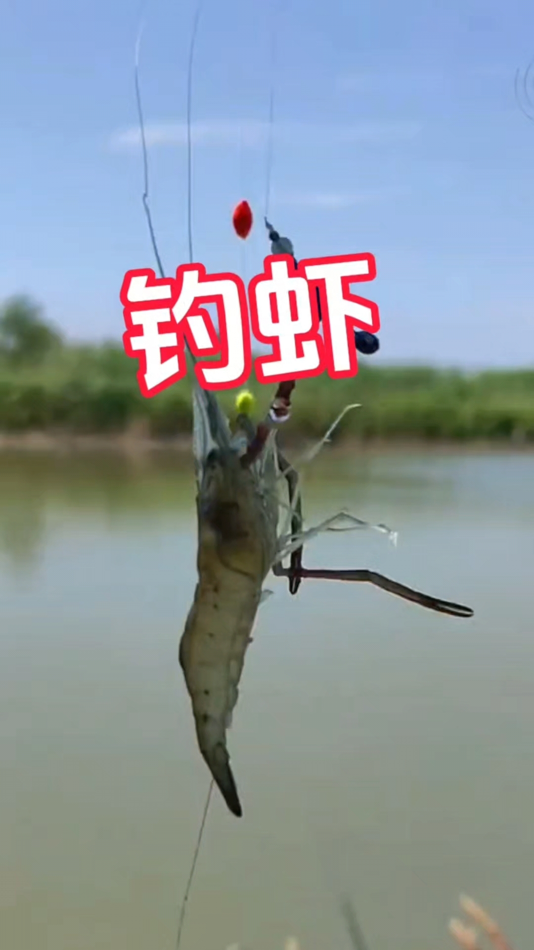 冬天虾饵钓鱼技巧(冬天用虾饵钓鲫鱼好吗) 冬天虾饵钓鱼技巧(冬天用虾饵钓鲫鱼好吗)