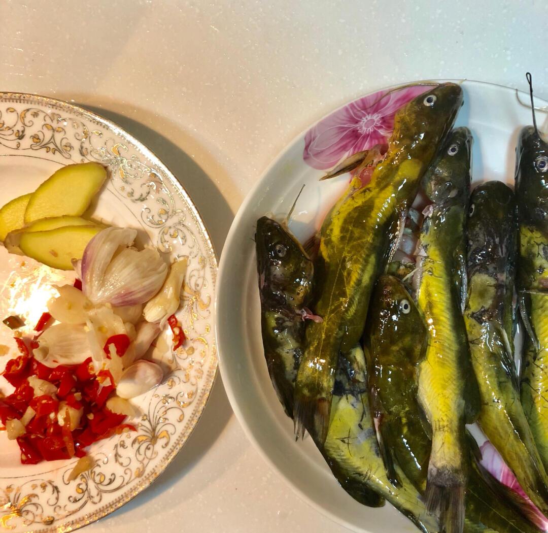 钓黄丫头技巧(钓黄丫头用什么料打窝)