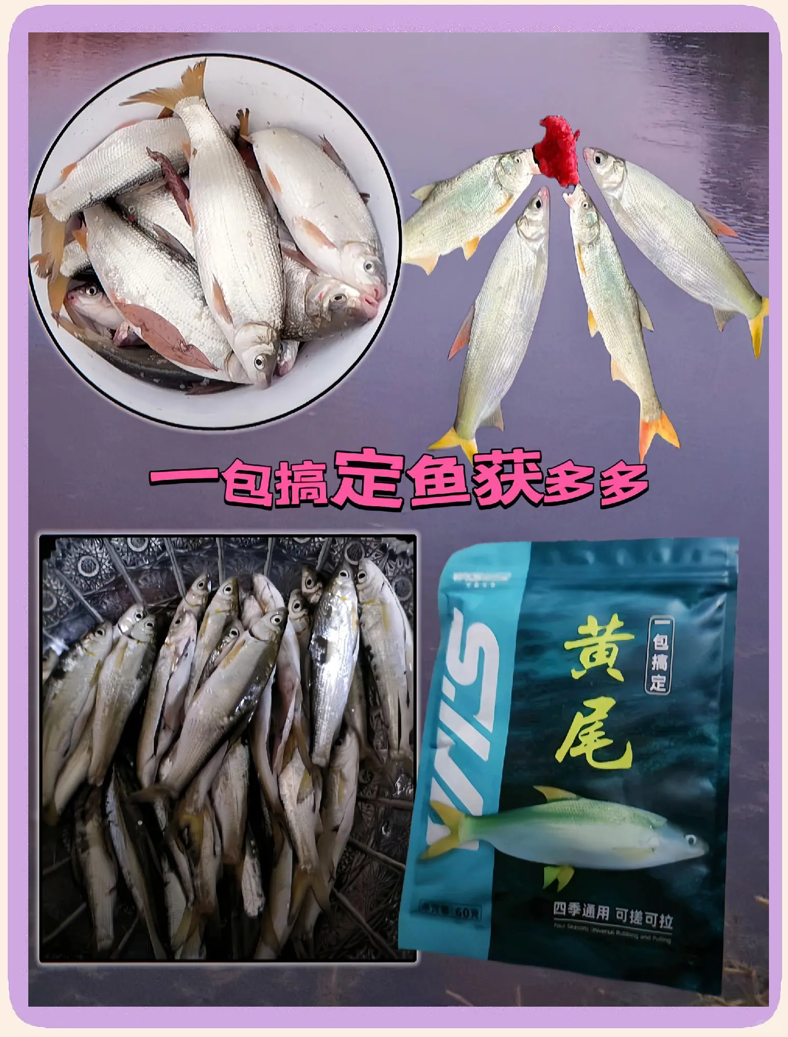 在瑞典钓鱼用什么饵料(在瑞典钓鱼用什么饵料好)