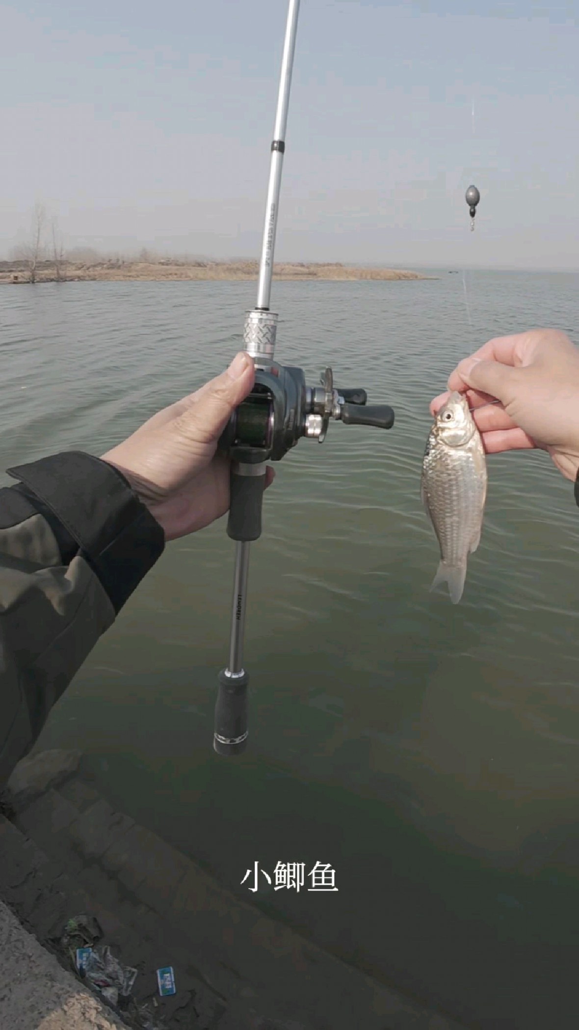 红虫传统钓鲫鱼技巧(红虫钓鲫鱼视频教程)