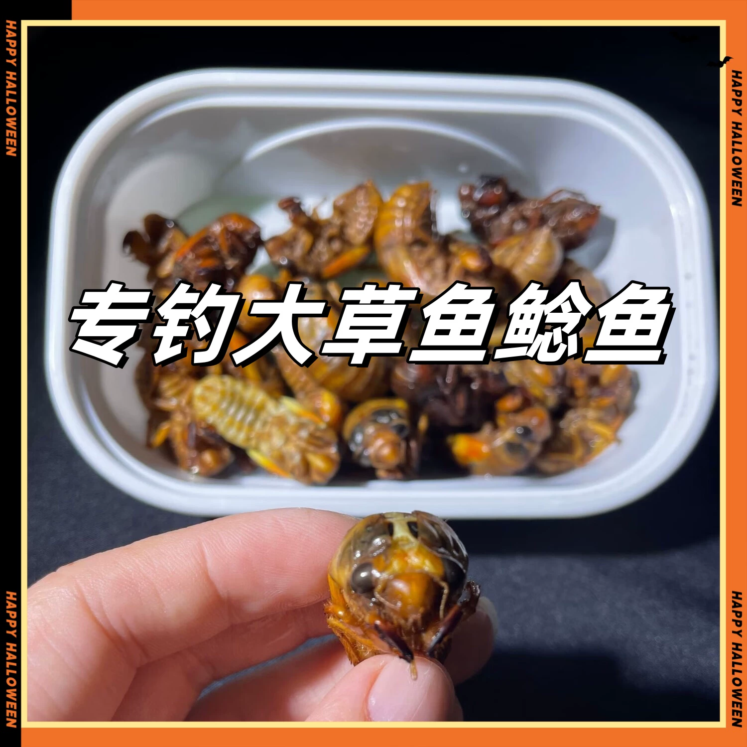 蚂蝗饵料是什么(蚂蝗怎么钓)