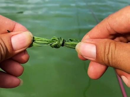 野河钓草鱼鱼技巧(野河怎么钓草鱼打窝和钓)