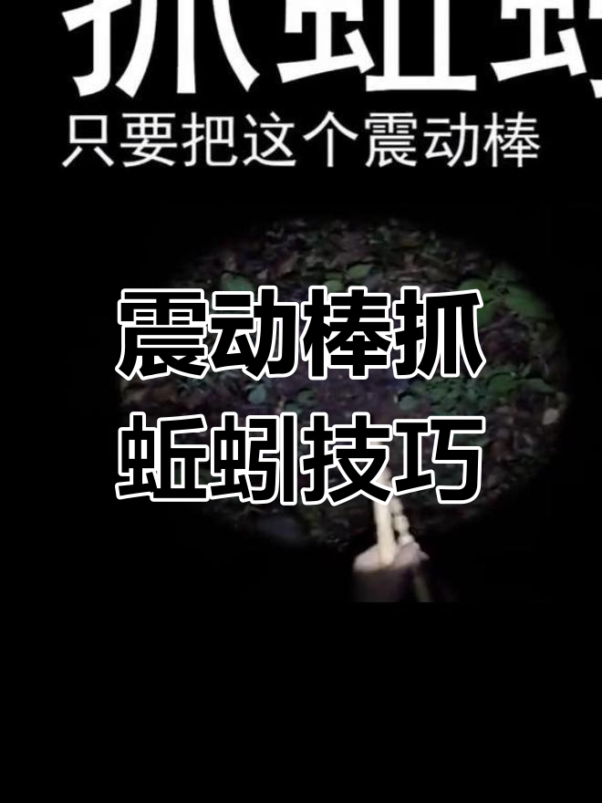 捕捉蚯蚓技巧(如何捉蚯蚓最快)