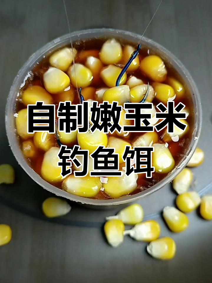 饵料制作(河虾配方教学饵料制作)